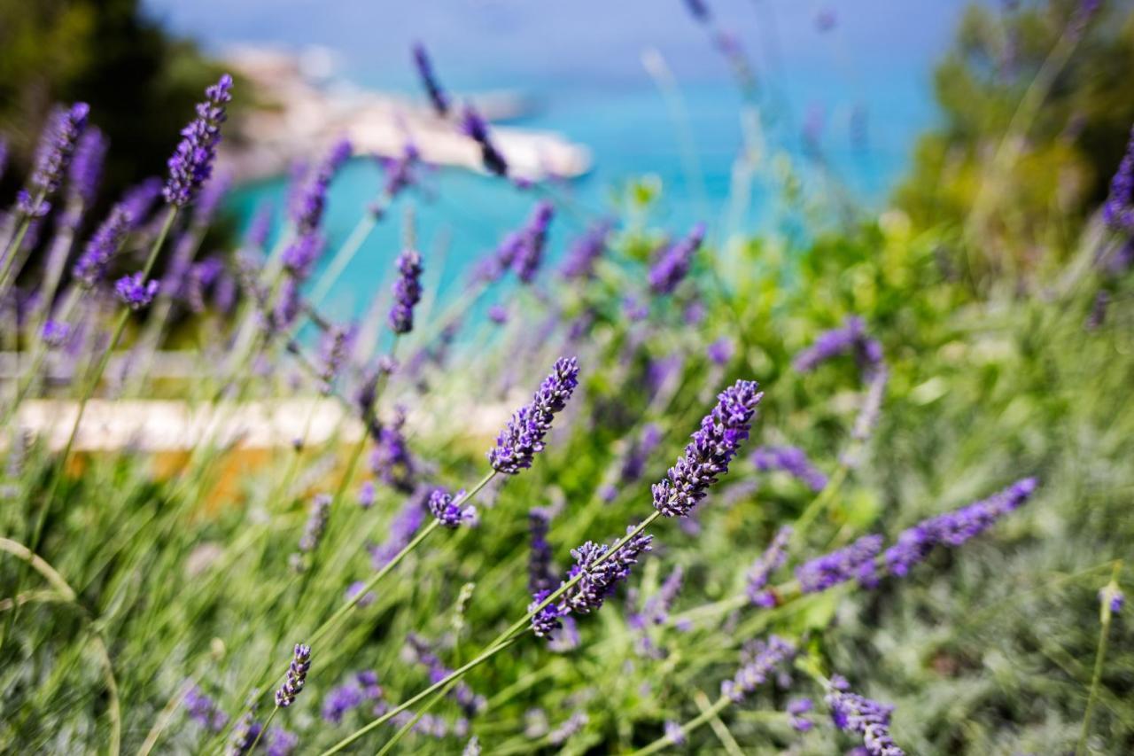 Blue Bay Residence Hvar Town Exterior foto
