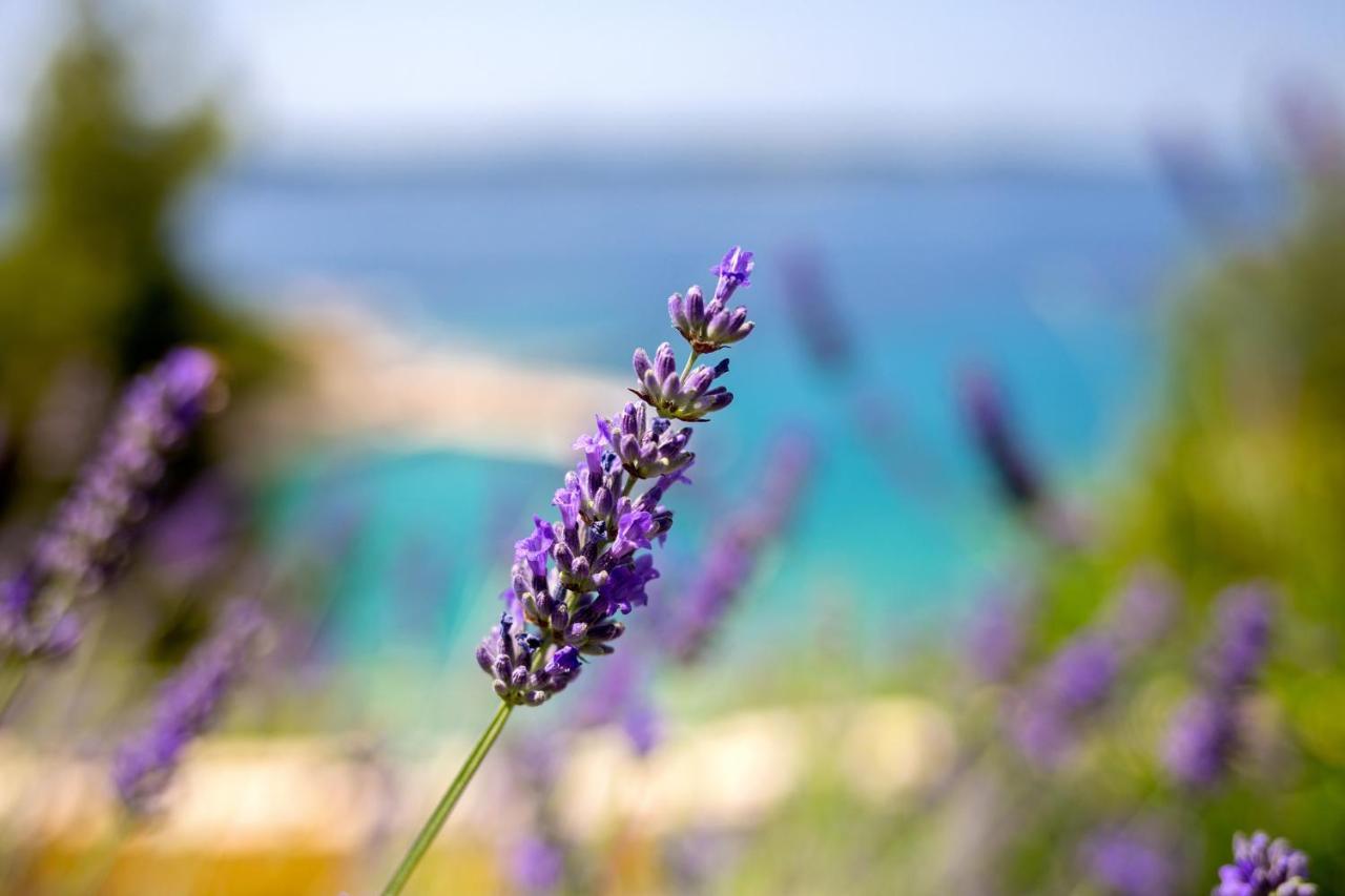 Blue Bay Residence Hvar Town Exterior foto
